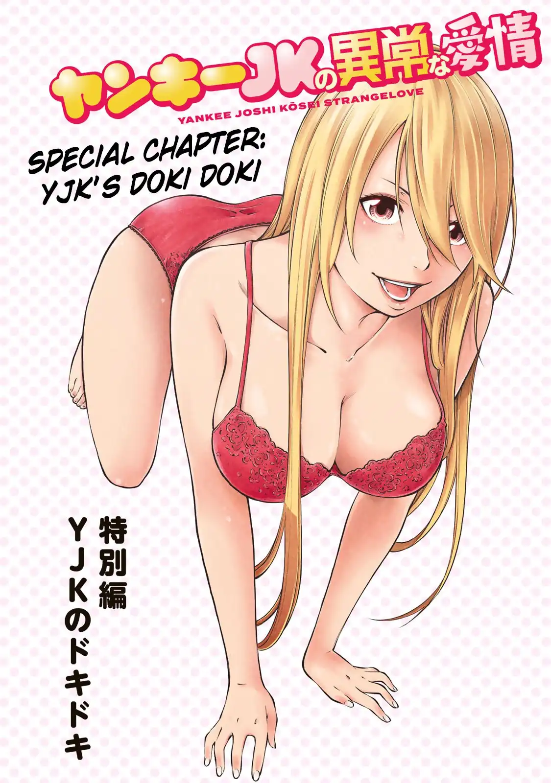 Yankee JK no Ijou na Aijou Chapter 6.5 - Page 3